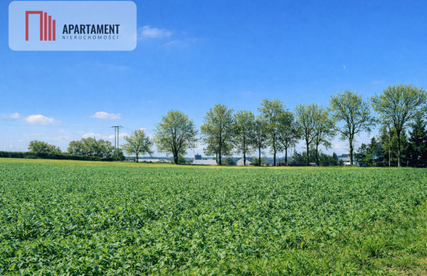 Działki z wydanymi warunkami zabudowy.