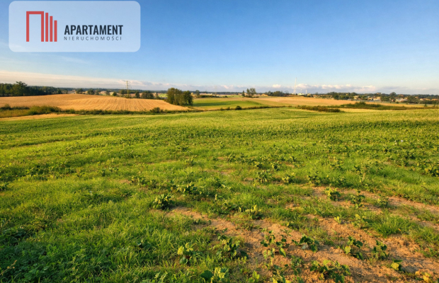 Działki z wydanymi warunkami zabudowy.