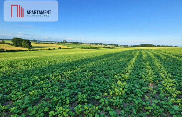 Działki z wydanymi warunkami zabudowy.