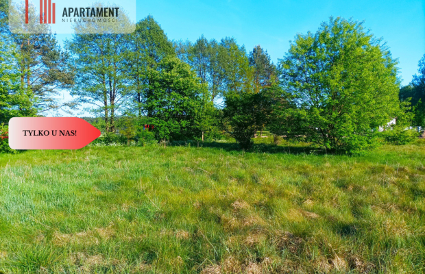 TYLKO U NAS !!!  ATRAKCYJNA ZIELONA BLISKO CENTRUM