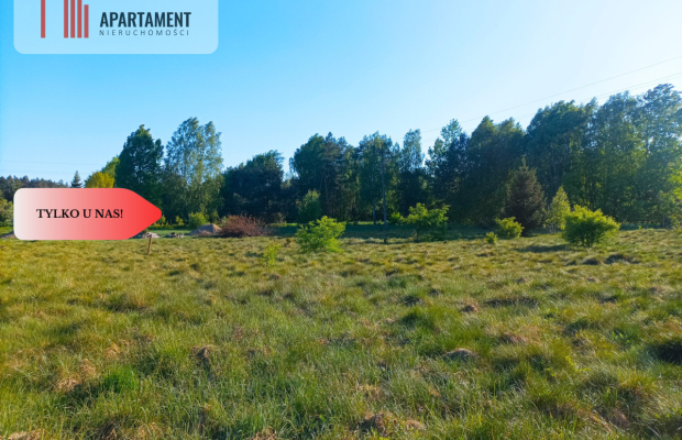 TYLKO U NAS !!!  ATRAKCYJNA ZIELONA BLISKO CENTRUM