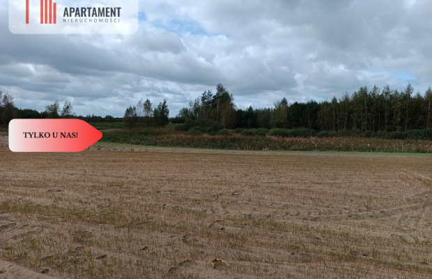 TYLKO U NAS! Cicha i spokojna okolica.