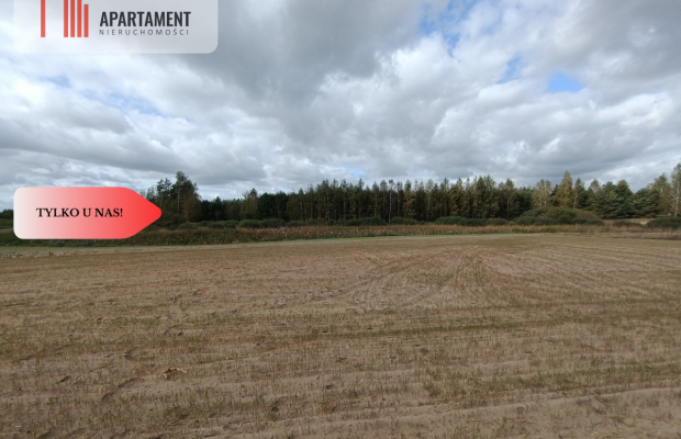 TYLKO U NAS! Cicha i spokojna okolica.