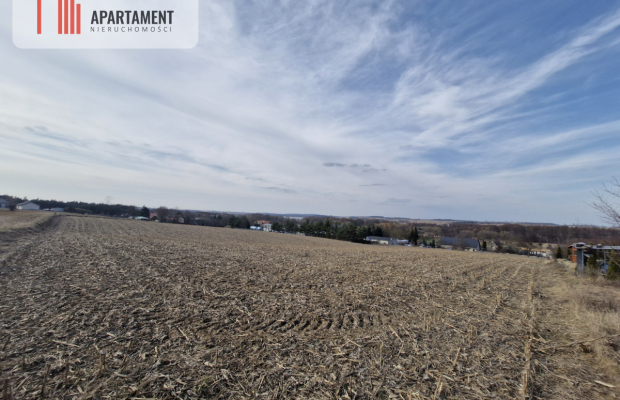 Działka w Wolicach 900 mkw. z MPZP