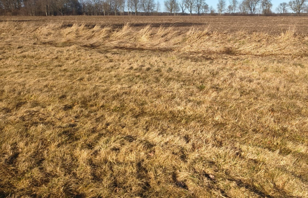 Działka rolna na malowniczym terenie