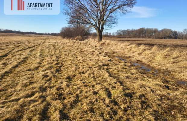 Działka rolna na malowniczym terenie