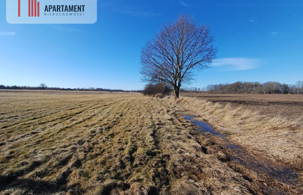 Działka rolna na malowniczym terenie