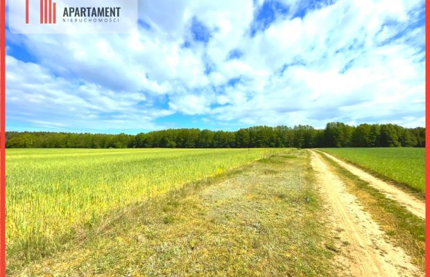 Nekla pod usługi, przemysł, magazyn