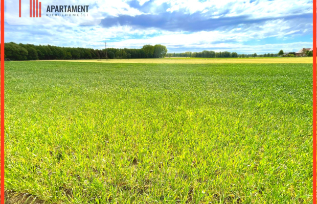 Nekla pod usługi, przemysł, magazyn