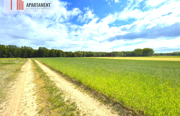 Nekla pod usługi, przemysł, magazyn