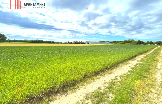 Nekla pod usługi, przemysł, magazyn