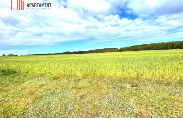 Nekla pod usługi, przemysł, magazyn