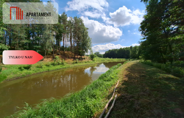 PIĘKNE SIEDLISKO! Dom, Staw, Las, DO NEGOCJACJI!