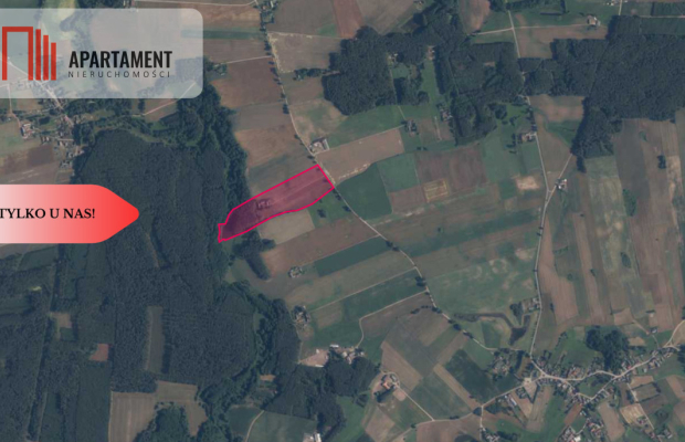 PIĘKNE SIEDLISKO! Dom, Staw, Las, DO NEGOCJACJI!