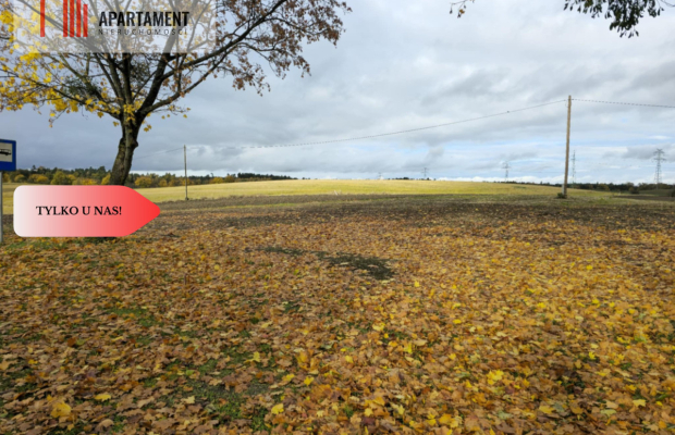 Działka budowlana z Warunkami zabudowy Smarzewo