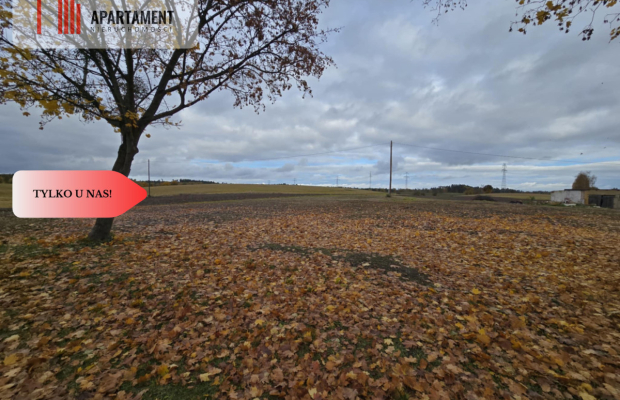 Działka budowlana z Warunkami zabudowy Smarzewo