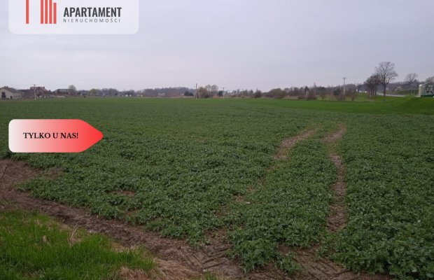 Działki/120 zł/m2/Wilczków