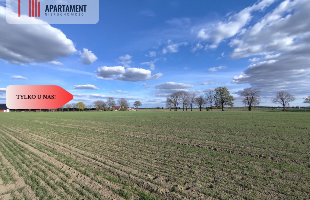 Działki blisko natury! Wiśniewa koło Sępólna!