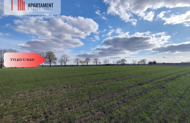 Działki blisko natury! Wiśniewa koło Sępólna!