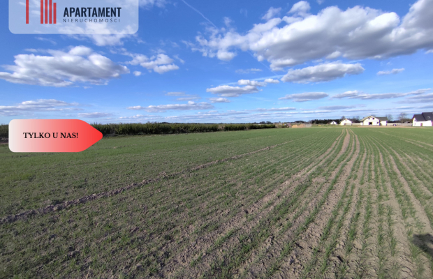 Działki blisko natury! Wiśniewa koło Sępólna!