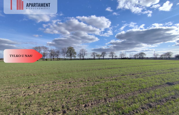 Działki blisko natury! Wiśniewa koło Sępólna!