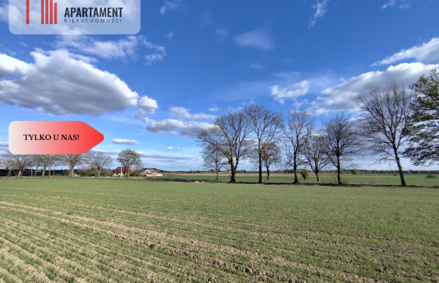 Działki blisko natury! Wiśniewa koło Sępólna!