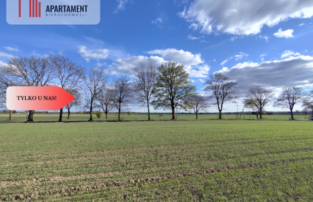 Działki blisko natury! Wiśniewa koło Sępólna!