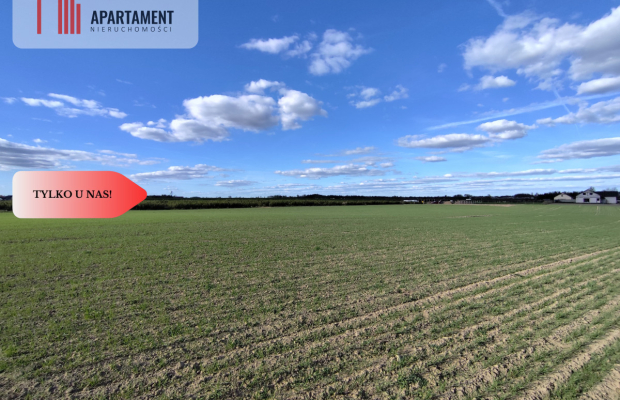 Działki blisko natury! Wiśniewa koło Sępólna!