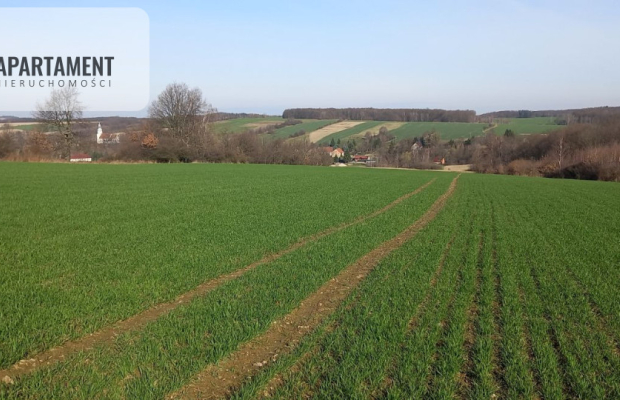 Działka pod inwestycję /Rolna/Cicha okolica