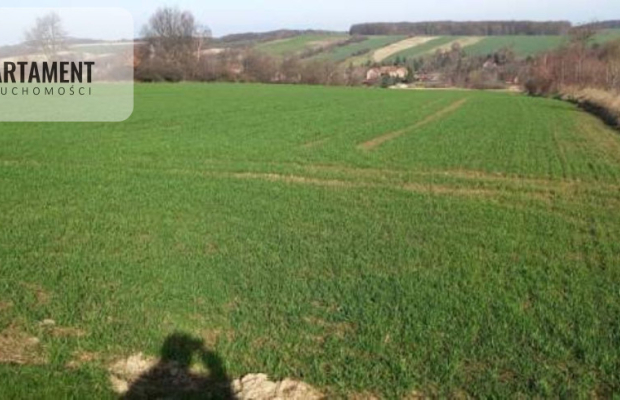 Działka pod inwestycję /Rolna/Cicha okolica