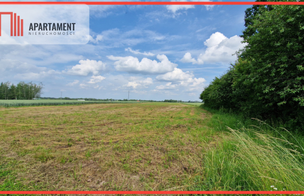 Działki w Wiewiórczynie!