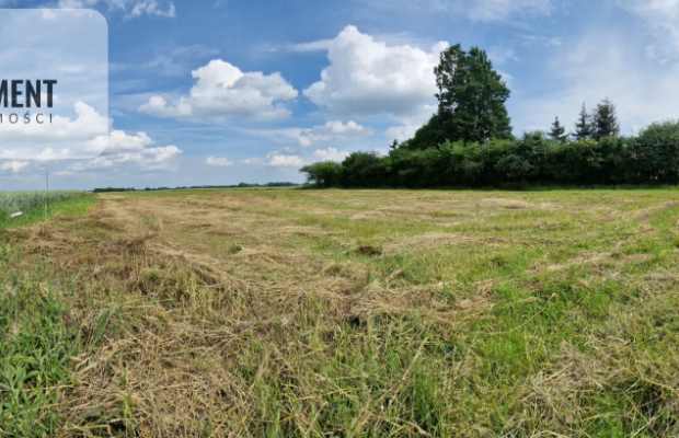 Działki w Wiewiórczynie!