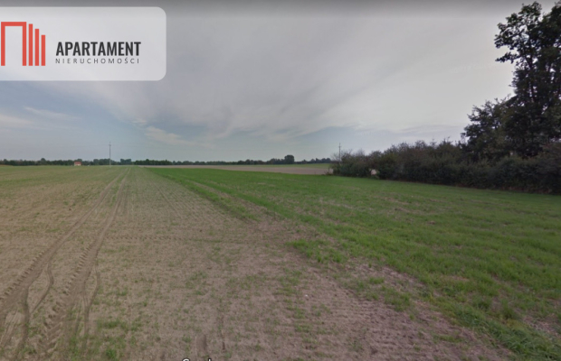 Działki w Wiewiórczynie!