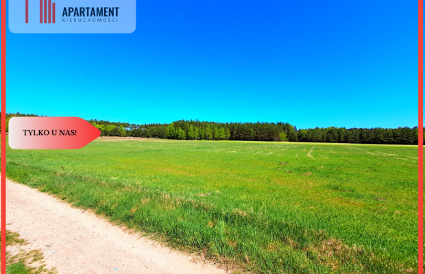 * Działka w gminie Łabiszyn