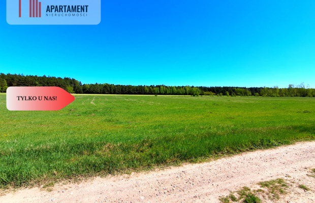 * Działka w gminie Łabiszyn