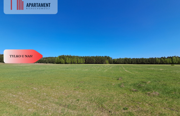 * Działka w gminie Łabiszyn