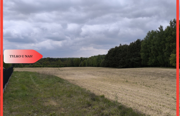 Tylko u nas - działka na sprzedaż w Dylewie
