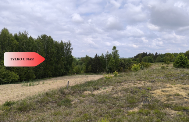 Tylko u nas - działka na sprzedaż w Dylewie