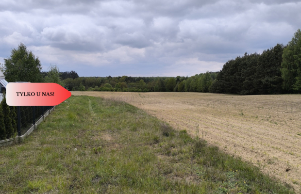 Tylko u nas - działka na sprzedaż w Dylewie