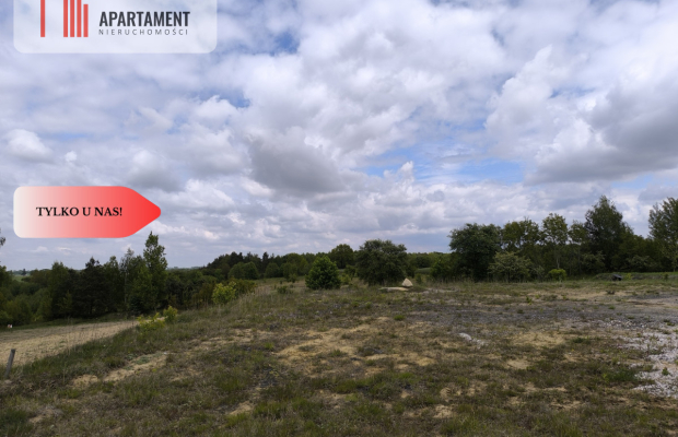 Tylko u nas - działka na sprzedaż w Dylewie