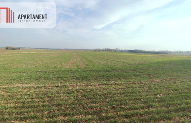 Obniżka CENY! Działka rolna w dobrej LOKALIZACJI!!