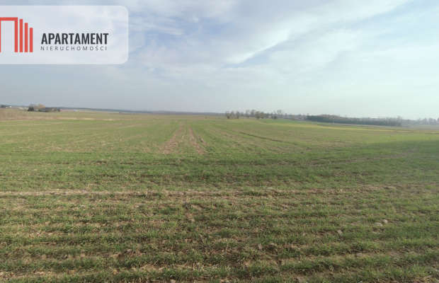 Obniżka CENY! Działka rolna w dobrej LOKALIZACJI!!