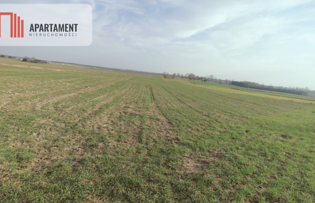 Obniżka CENY! Działka rolna w dobrej LOKALIZACJI!!