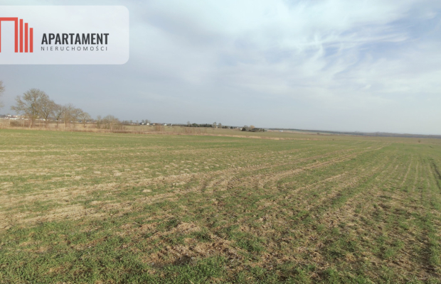 Obniżka CENY! Działka rolna w dobrej LOKALIZACJI!!