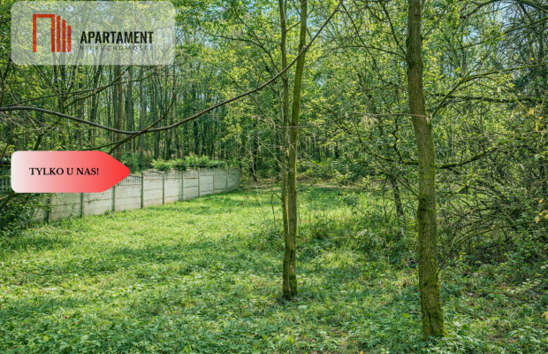 2 działki - Grabowiec . Wydane WZ - w zaciszu lasu