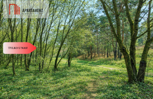 Działki budowlane w zaciszu lasu. Grabowiec.