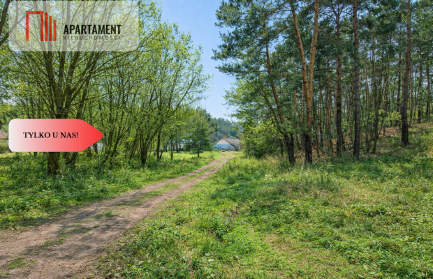Działki budowlane w zaciszu lasu. Grabowiec.