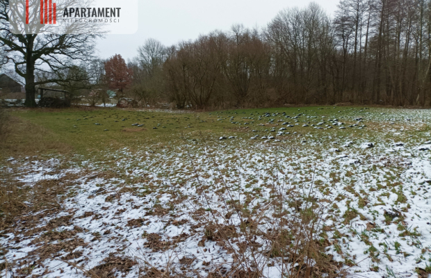 TYLKO U NAS !!!ATRAKCYJNA DZIAŁKA P/S/U