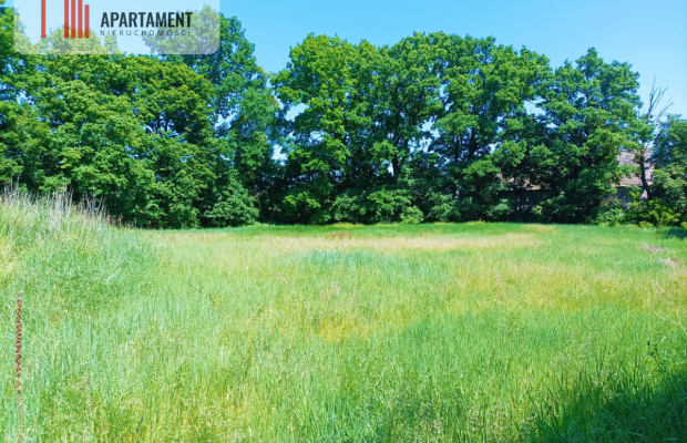TYLKO U NAS !!!ATRAKCYJNA DZIAŁKA P/S/U