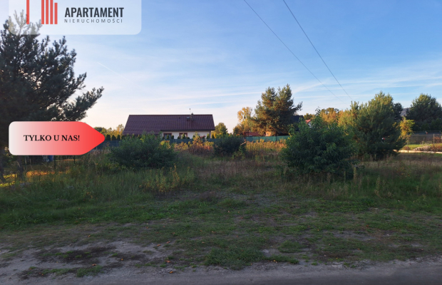 Działka Dębina spokojna okolica